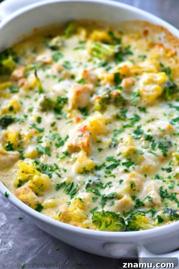 Golden Three-Cheese Chicken and Broccoli Spaghetti Squash Bake 3 Close-up of a serving of Three-Cheese Chicken Broccoli Spaghetti Squash Bake, showing the rich texture and golden-brown cheese topping.