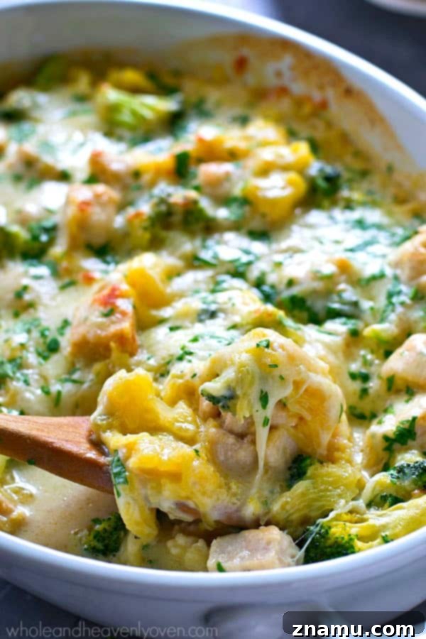 Golden Three-Cheese Chicken and Broccoli Spaghetti Squash Bake 6 A generous serving of the Three-Cheese Chicken Broccoli Spaghetti Squash Bake, showcasing the creamy sauce and cheese pull.