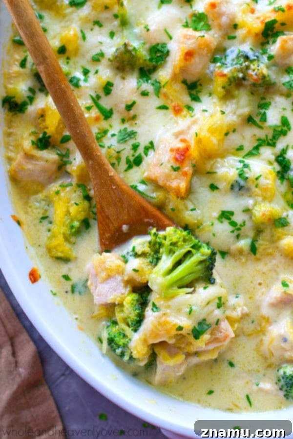 Golden Three-Cheese Chicken and Broccoli Spaghetti Squash Bake 7 Another perspective of the freshly baked spaghetti squash casserole, highlighting the bubbly, golden cheese topping.