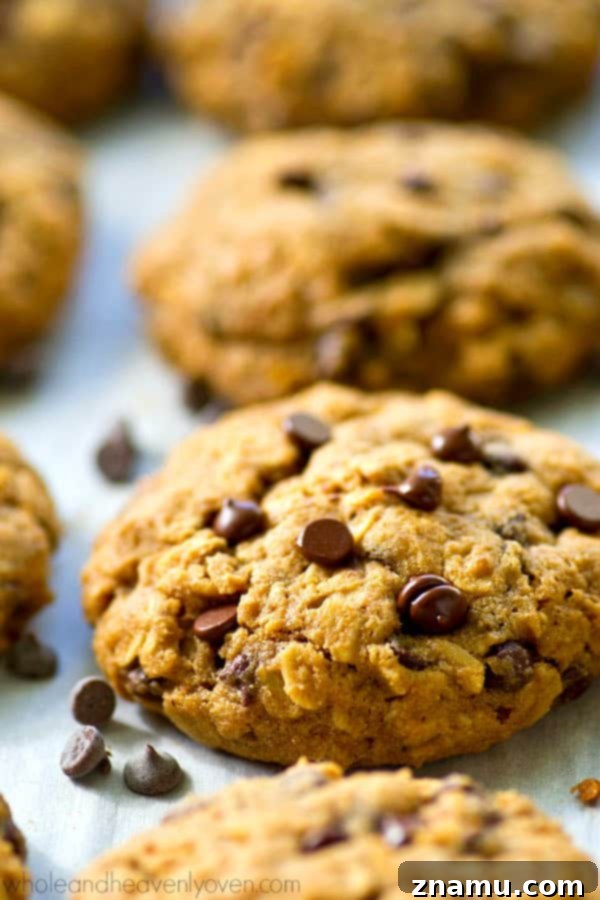 Ultimate Oatmeal Chocolate Chip Cookies 3 Irresistibly delicious homemade oatmeal chocolate chip cookies