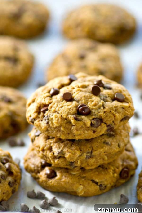 Ultimate Oatmeal Chocolate Chip Cookies 4 Freshly baked soft and chewy oatmeal chocolate chip cookies