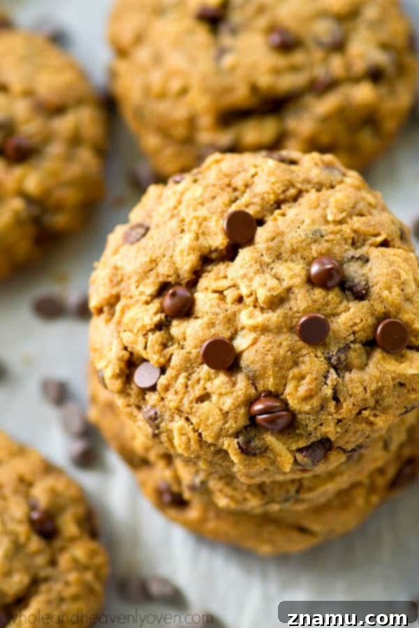 Ultimate Oatmeal Chocolate Chip Cookies 5 Close-up of golden brown oatmeal chocolate chip cookies on a baking sheet
