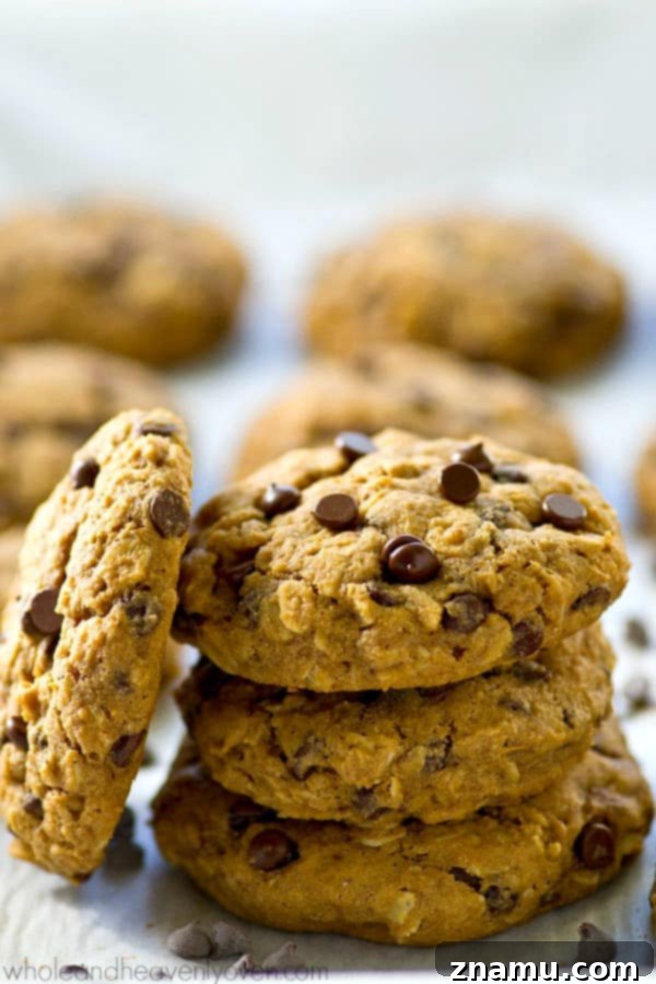 Ultimate Oatmeal Chocolate Chip Cookies 6 Homemade oatmeal chocolate chip cookie dough ready for baking