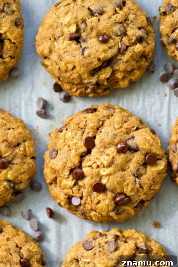 Ultimate Oatmeal Chocolate Chip Cookies 7 Stack of warm, gooey oatmeal chocolate chip cookies