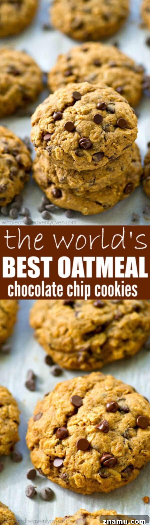 Ultimate Oatmeal Chocolate Chip Cookies 8 The ultimate recipe for soft and chewy oatmeal chocolate chip cookies