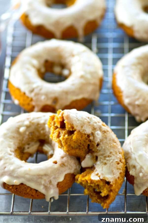 Espresso Glazed Pumpkin Spice Latte Donuts 6 Espresso glaze drizzled over pumpkin donuts