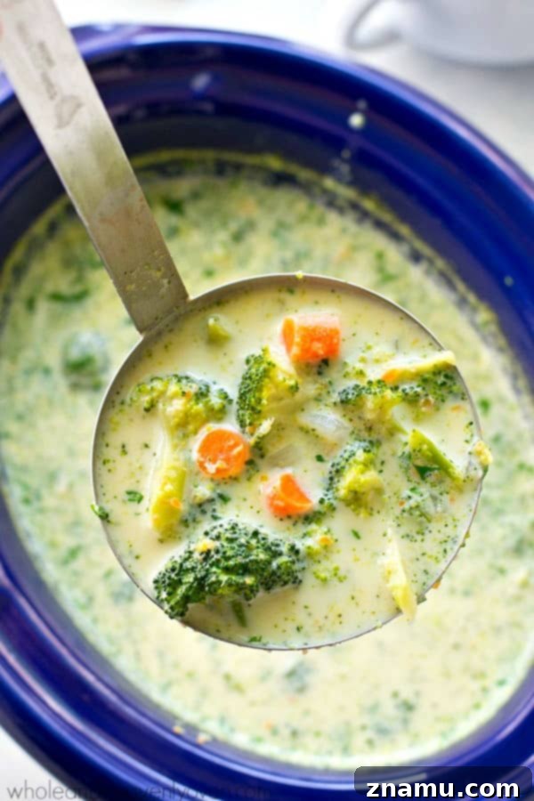 Wholesome Slow Cooker Broccoli Cheddar Soup 4 Broccoli florets and diced carrots ready to be added to the crockpot for the soup.