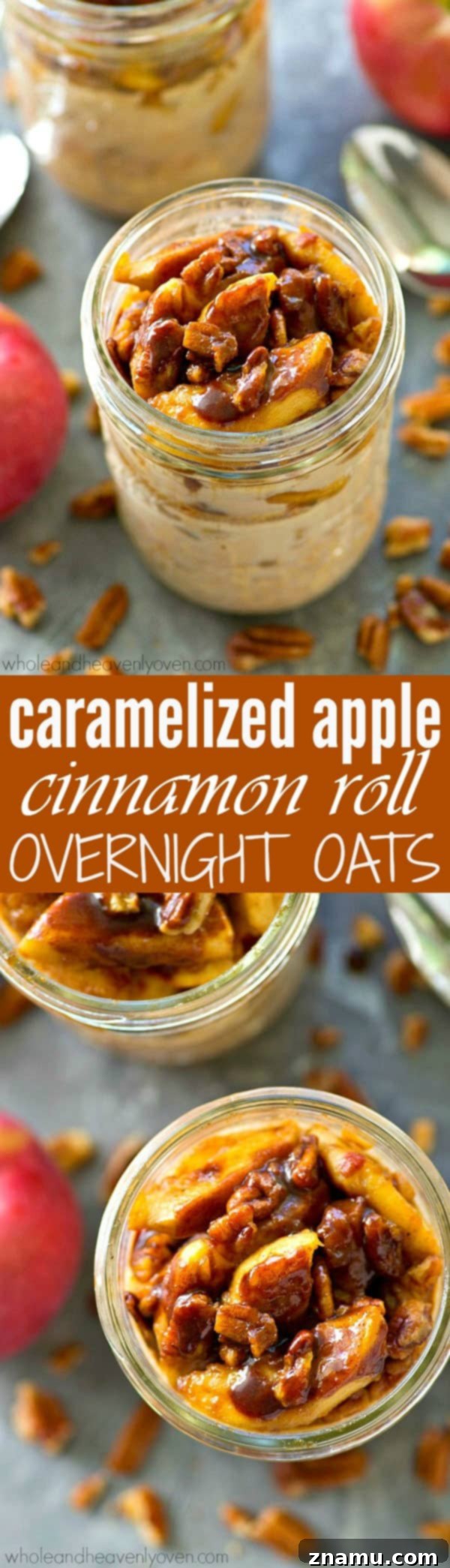 Overhead view of a prepared bowl of Caramelized Apple Cinnamon Roll Overnight Oats, garnished with extra cinnamon.
