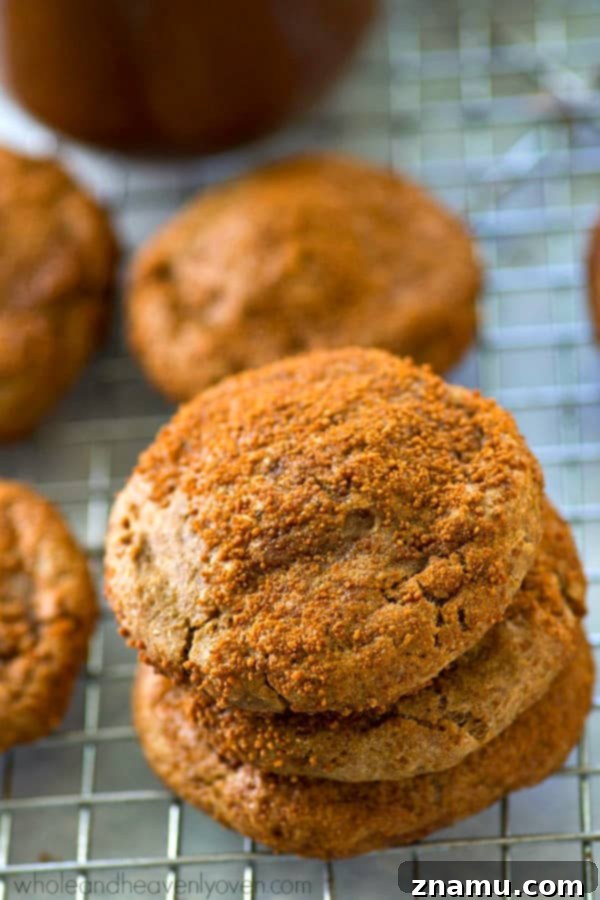 Spiced Apple Butter Snickerdoodle Cookies 2 Deliciously chewy apple butter snickerdoodle cookies coated in cinnamon sugar, perfect for fall baking