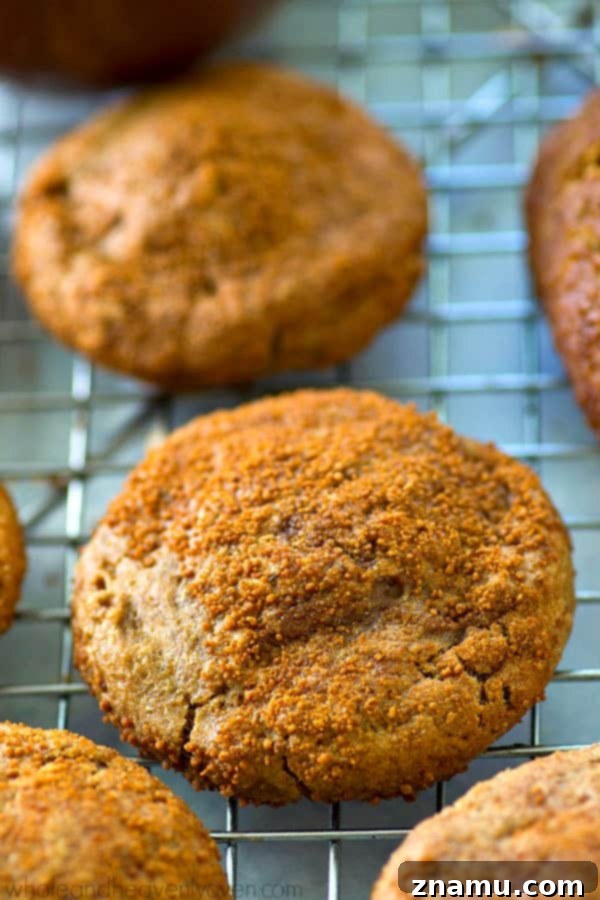 Spiced Apple Butter Snickerdoodle Cookies 3 Close-up of golden brown apple butter snickerdoodles on a cooling rack, highlighting their perfect texture