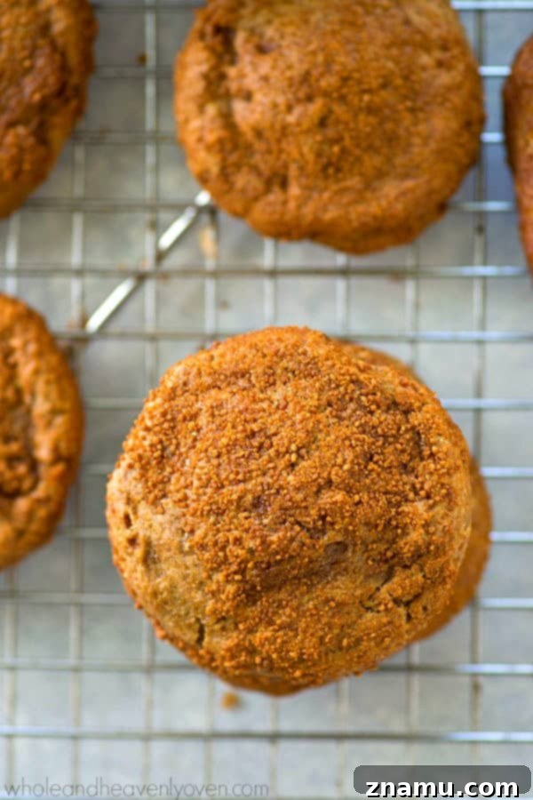 Spiced Apple Butter Snickerdoodle Cookies 4 Homemade apple butter snickerdoodle cookies, freshly baked and ready to be enjoyed as a fall treat