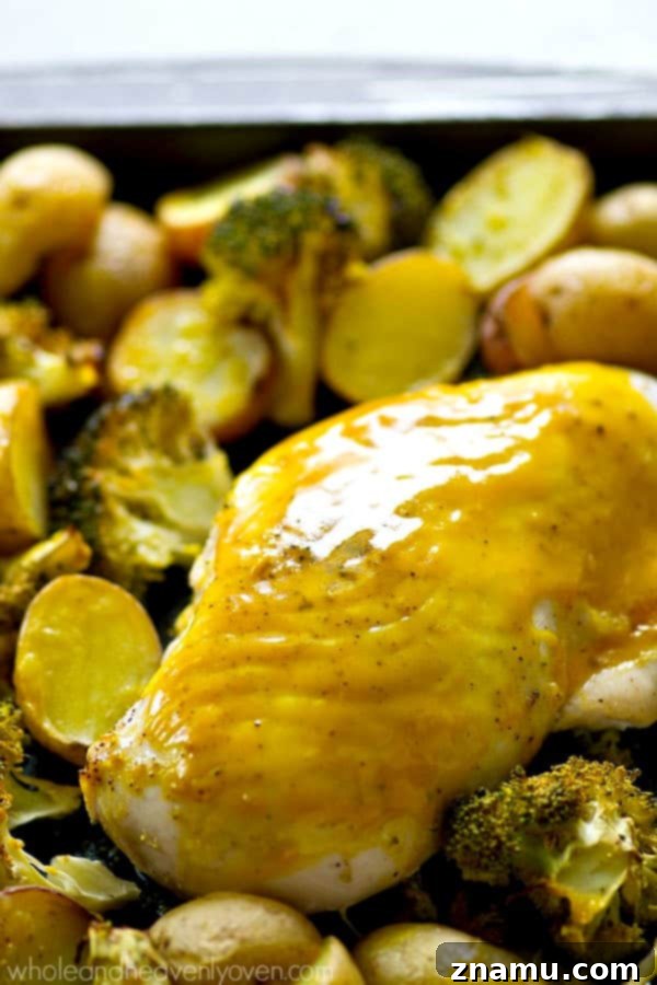Sheet Pan Honey Mustard Chicken with Roasted Fingerlings and Broccoli 3 Close-up of a seasoned honey mustard chicken piece with potatoes and broccoli on a baking sheet