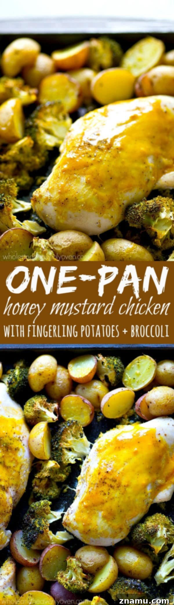 Sheet Pan Honey Mustard Chicken with Roasted Fingerlings and Broccoli 7 Overhead shot of the cooked one-pan honey mustard chicken dinner, ready to eat