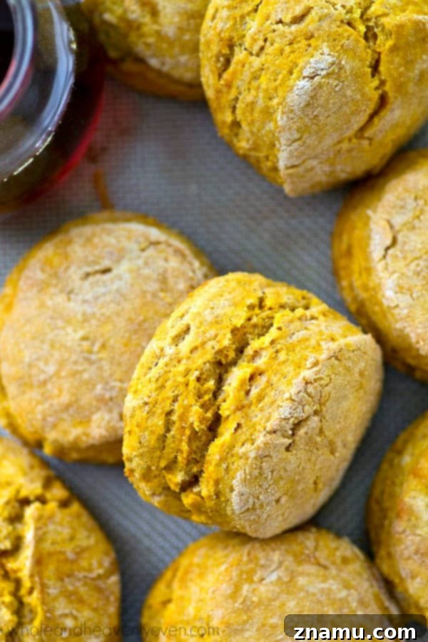 Cozy Maple Pumpkin Spice Biscuits 4 Freshly baked maple pumpkin spice biscuits cooling on a wire rack, steam gently rising.
