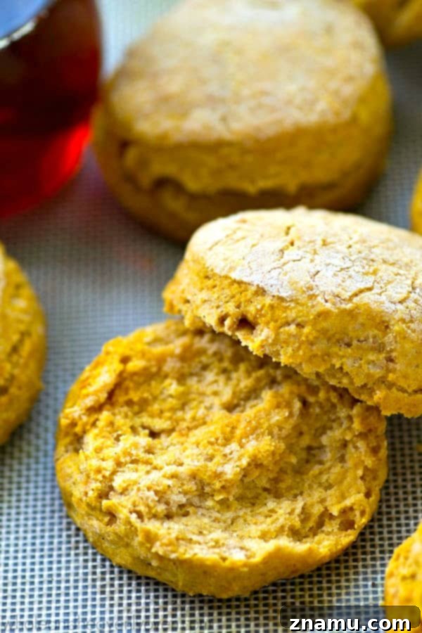 Cozy Maple Pumpkin Spice Biscuits 6 A hand reaching for a warm maple pumpkin spice biscuit on a plate, with a bottle of maple syrup in the background.