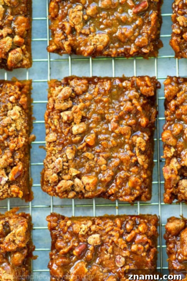 Spiced Pumpkin Caramel Crumble Bars 3 Close-up of a pumpkin pie caramel crumb bar, showing the layers