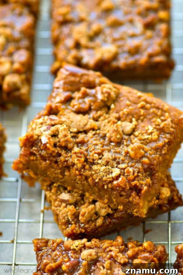 Spiced Pumpkin Caramel Crumble Bars 5 Overhead shot of freshly baked pumpkin pie crumb bars