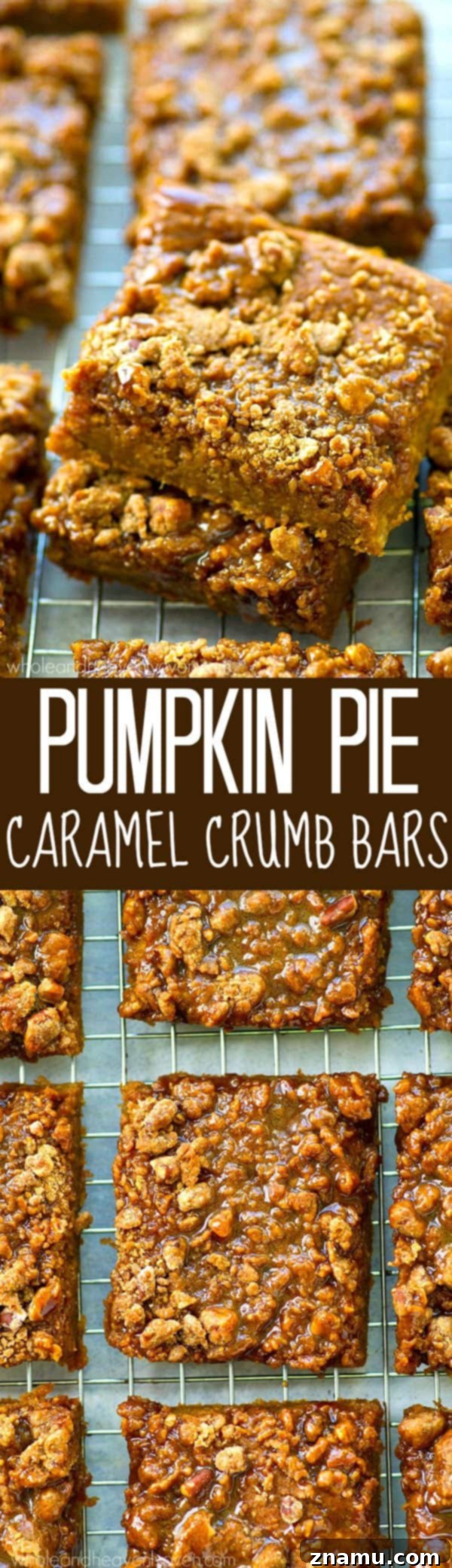 Spiced Pumpkin Caramel Crumble Bars 8 A plate of pumpkin pie caramel crumb bars ready to be enjoyed