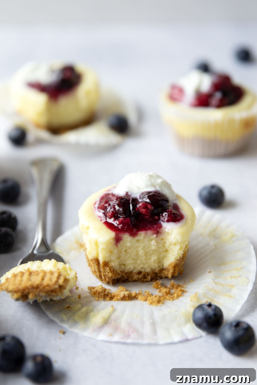 Berry Cheesecake Bites 2 Irresistible Berry Mini Cheesecakes with Fresh Compote for Easy Dessert