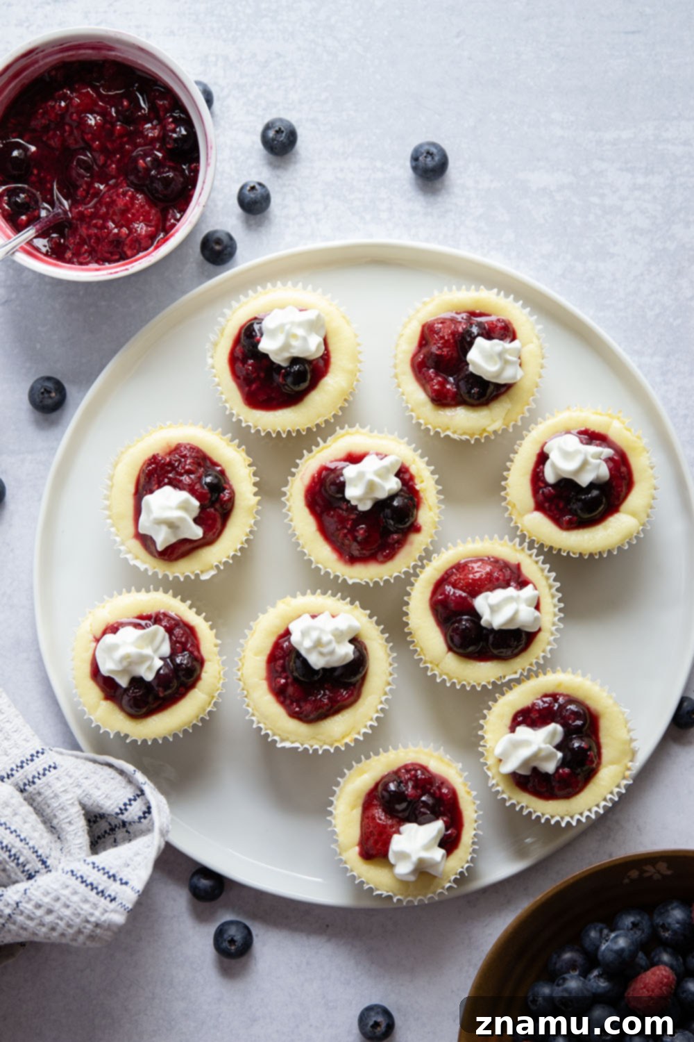 Berry Cheesecake Bites 3 Decadent Berry Mini Cheesecakes, perfect for individual servings, topped with berries