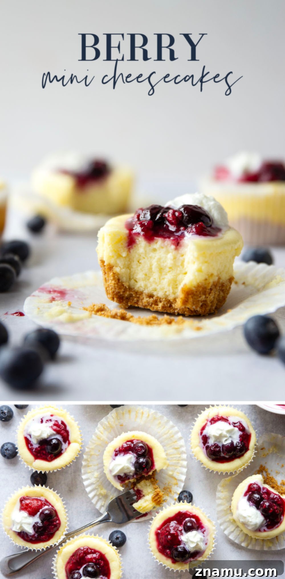 Berry Cheesecake Bites 7 Assorted Berry Mini Cheesecakes on a serving platter, showcasing variety of toppings