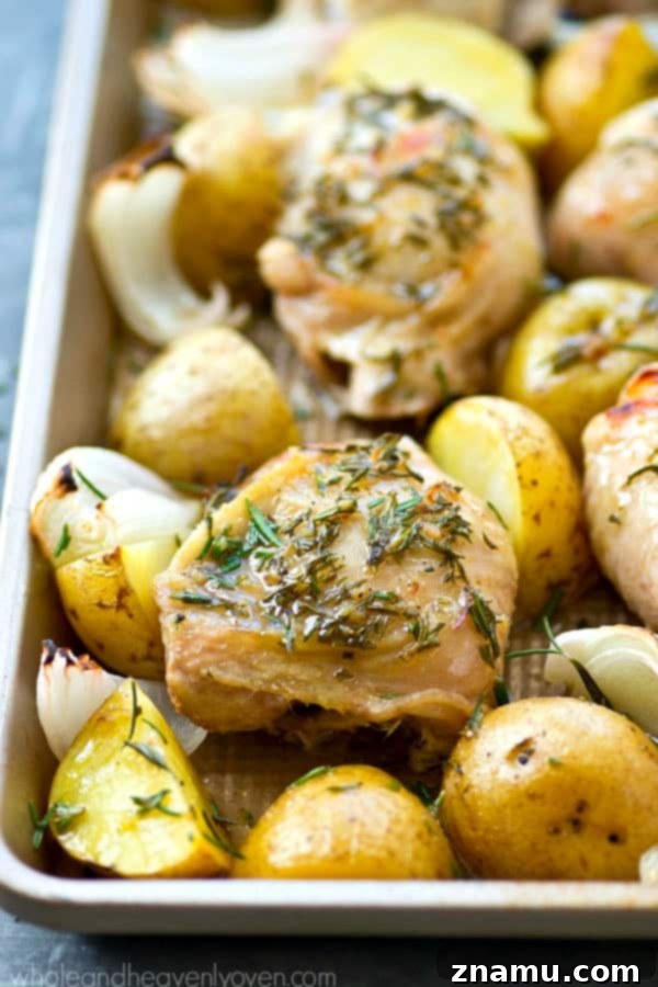 Delicious one-pan rosemary roast chicken and potatoes, perfectly roasted to a golden crisp.