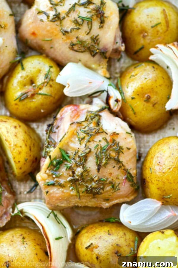 Close-up of crispy skin on rosemary roast chicken thighs alongside tender, seasoned potatoes.