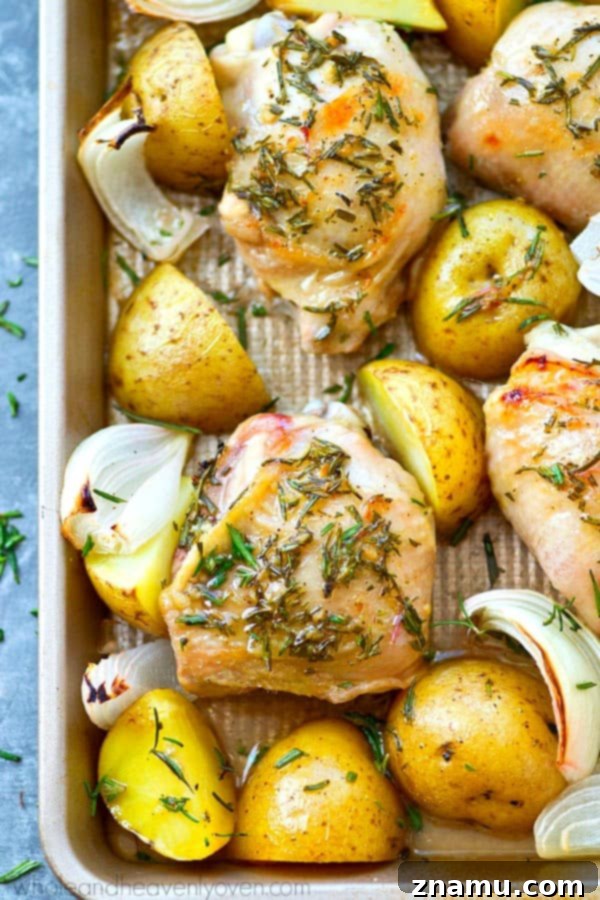 A sheet pan filled with perfectly roasted chicken, golden potatoes, and caramelized onions.