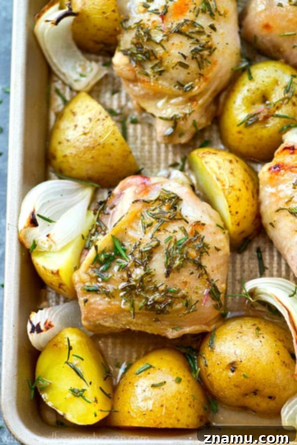 A vibrant mix of raw chicken, potatoes, and onions on a sheet pan, drizzled with rosemary sauce.