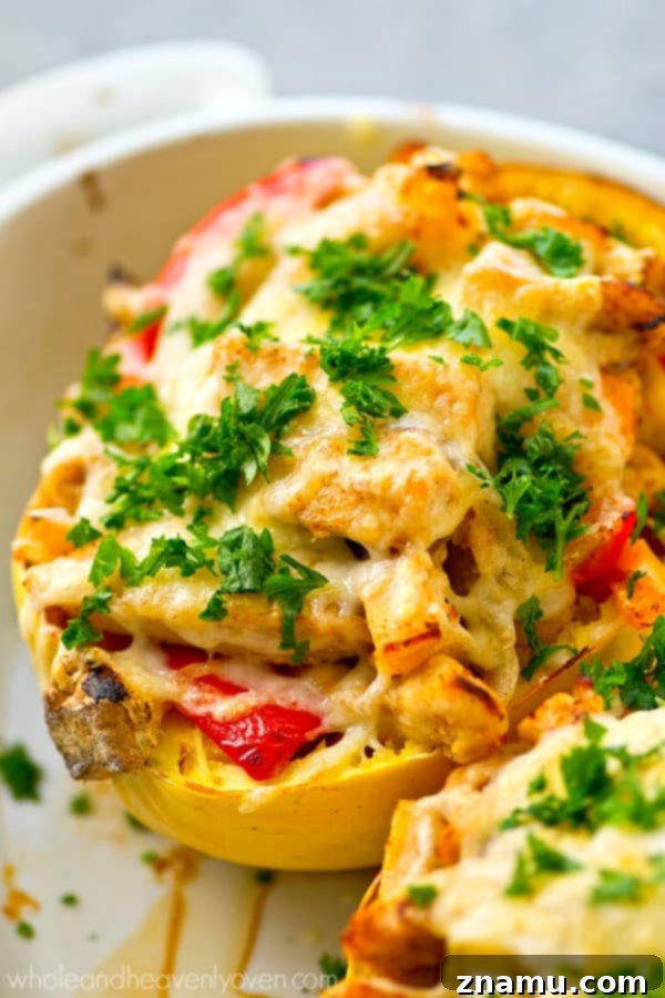 A beautifully presented chicken fajita spaghetti squash boat on a dinner plate, showcasing the hearty filling and golden cheese
