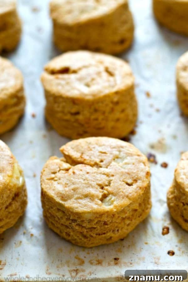 Fluffy Cheesy Potato Coconut Oil Biscuits 5 A hand tearing apart a warm cheesy coconut oil biscuit, revealing its flaky layers.