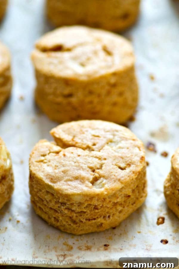 Fluffy Cheesy Potato Coconut Oil Biscuits 7 An array of delicious cheesy coconut oil biscuits, perfect for any meal.