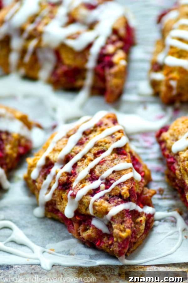 Sweet Glazed Raspberry Eggnog Scone Bites 4 Close-up of a single mini eggnog scone, showcasing its tender crumb, vibrant raspberry inclusions, and a generous drizzle of eggnog glaze.