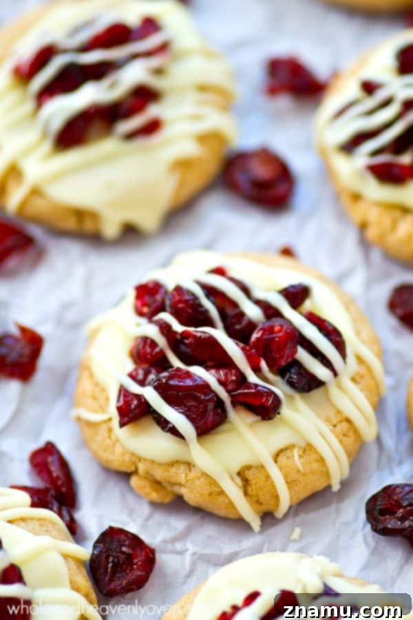 Blissful Cranberry White Chocolate Sugar Cookies 2 Delicious White Chocolate Cranberry Bliss Sugar Cookies on a baking sheet, ready to be enjoyed.