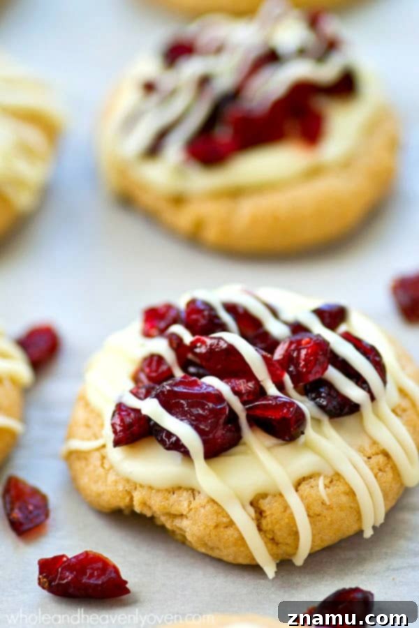 Blissful Cranberry White Chocolate Sugar Cookies 5 Hands holding a White Chocolate Cranberry Bliss Sugar Cookie, showcasing its delicious topping.