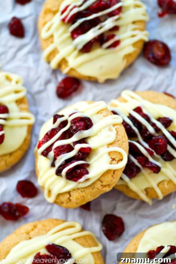 Blissful Cranberry White Chocolate Sugar Cookies 6 Close-up of freshly baked sugar cookies being decorated with white chocolate and dried cranberries.