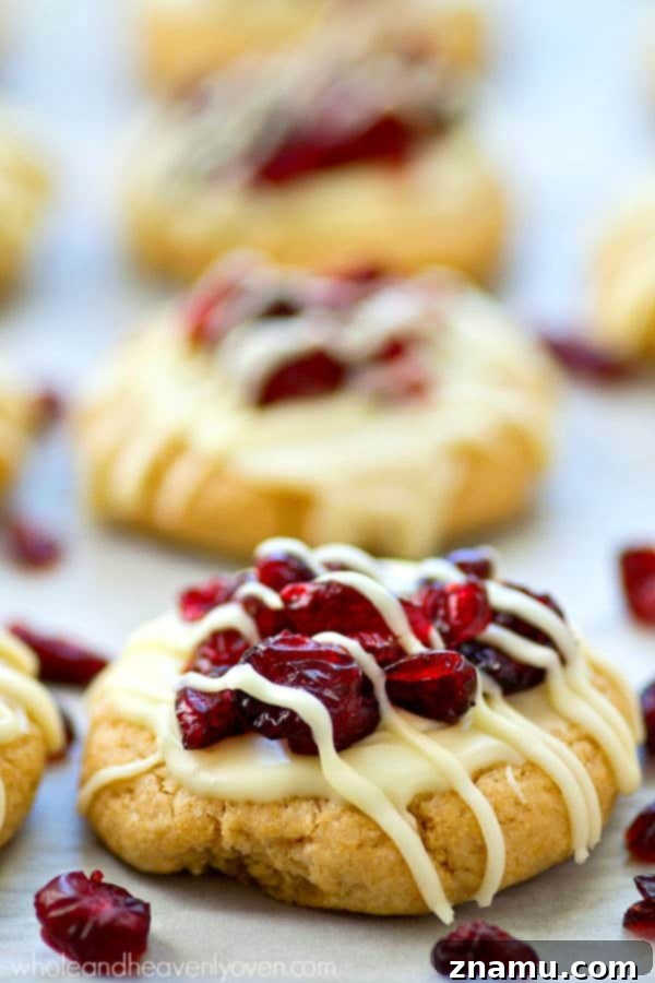 Blissful Cranberry White Chocolate Sugar Cookies 7 A completed White Chocolate Cranberry Bliss Sugar Cookie, perfectly frosted and adorned.