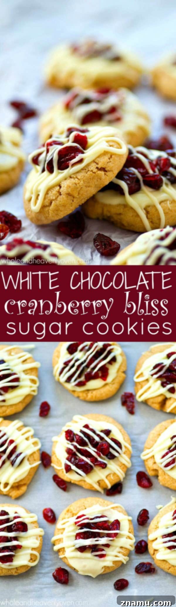 Blissful Cranberry White Chocolate Sugar Cookies 8 A final close-up of a Cranberry Bliss Sugar Cookie, inviting you to take a bite.