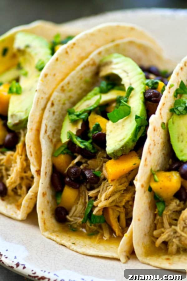 Easy Crockpot Green Chile Chicken Tacos with Fresh Mango Black Bean Salsa 3 Close-up of Green Chile Chicken Tacos featuring vibrant mango and black bean salsa
