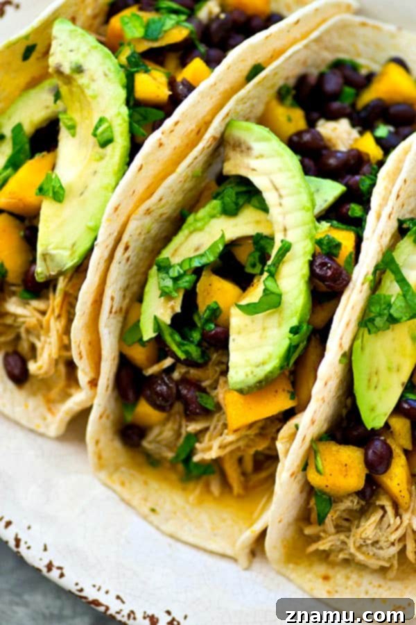 Easy Crockpot Green Chile Chicken Tacos with Fresh Mango Black Bean Salsa 4 Three Crockpot Green Chile Chicken Tacos with avocado and fresh cilantro garnish