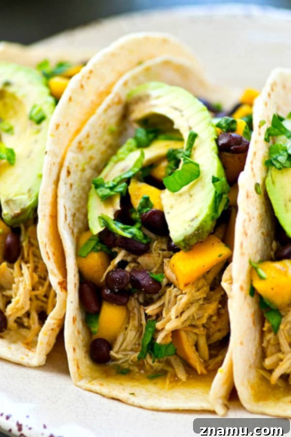 Easy Crockpot Green Chile Chicken Tacos with Fresh Mango Black Bean Salsa 6 Platter of Crockpot Green Chile Chicken Tacos ready for serving with mango black bean salsa and avocado