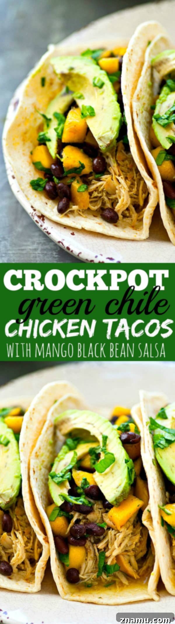Easy Crockpot Green Chile Chicken Tacos with Fresh Mango Black Bean Salsa 8 Colorful Crockpot Green Chile Chicken Tacos served in a rustic setting