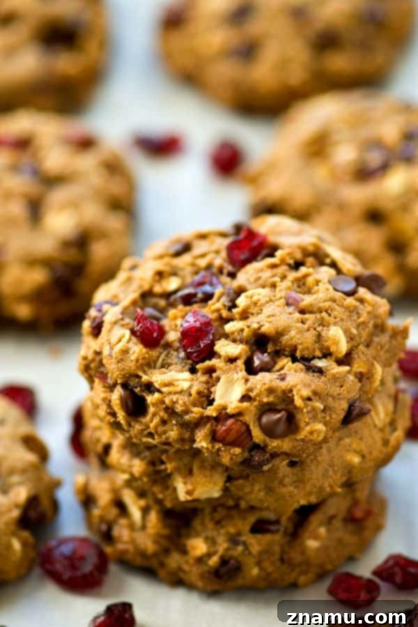 Energizing One-Bowl Chocolate Chip Trail Mix Breakfast Cookies 2 Delicious and easy one-bowl chocolate chip trail mix breakfast cookies, perfect for a healthy start to your day.