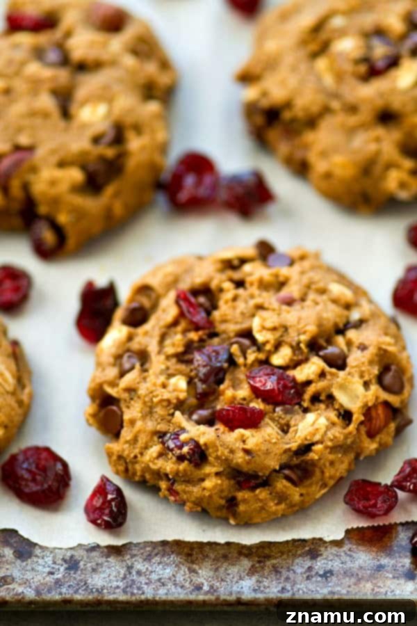 Energizing One-Bowl Chocolate Chip Trail Mix Breakfast Cookies 3 Close-up of a stack of healthy, soft, and chewy chocolate chip trail mix breakfast cookies, loaded with wholesome ingredients.