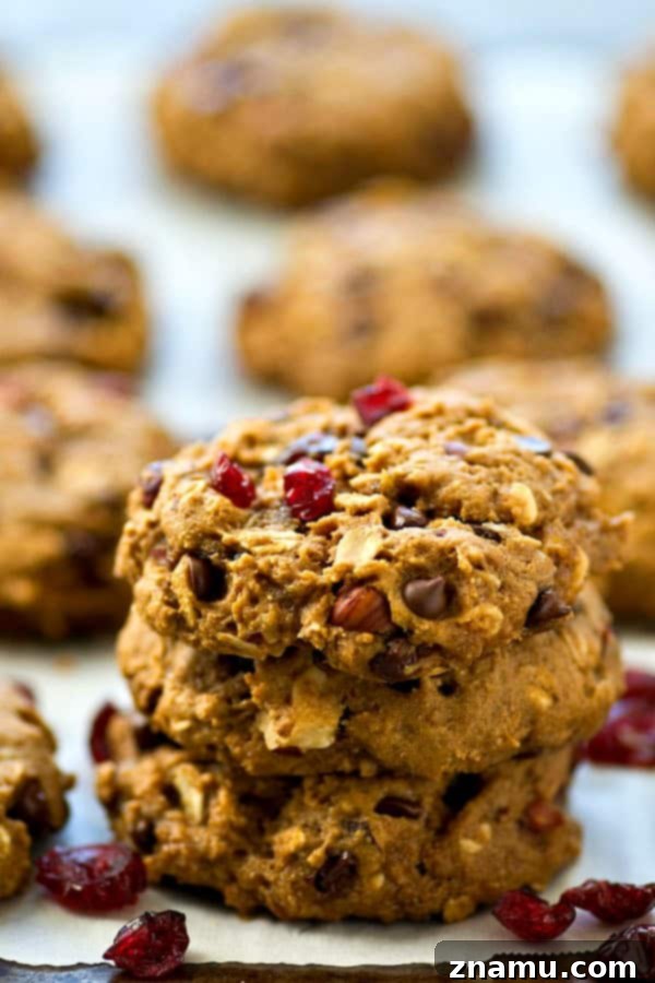 Energizing One-Bowl Chocolate Chip Trail Mix Breakfast Cookies 4 Freshly baked one-bowl breakfast cookies featuring visible chocolate chips, dried cranberries, and pecans on a cooling rack.