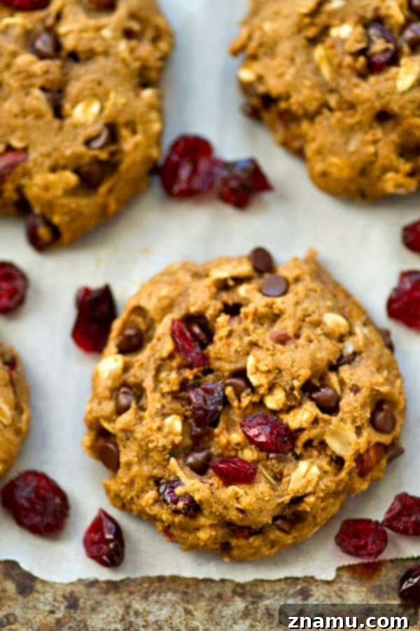 Energizing One-Bowl Chocolate Chip Trail Mix Breakfast Cookies 6 A hand reaching for a soft and chewy chocolate chip trail mix breakfast cookie from a fresh batch.