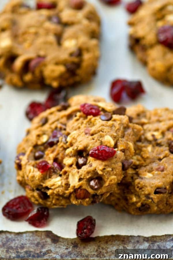 Energizing One-Bowl Chocolate Chip Trail Mix Breakfast Cookies 7 Warm and soft breakfast cookies cooling on a wire rack, with a cozy, inviting kitchen background.