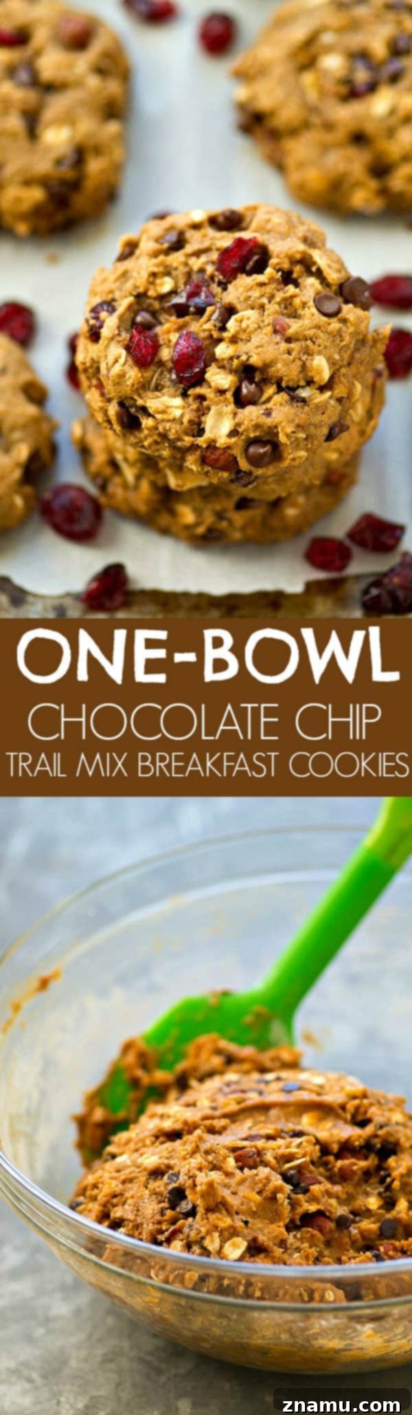 Energizing One-Bowl Chocolate Chip Trail Mix Breakfast Cookies 8 A detailed close-up of a single perfect chocolate chip trail mix breakfast cookie, showcasing its delicious texture.