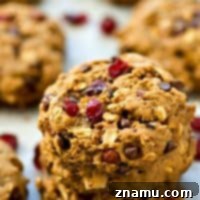 Energizing One-Bowl Chocolate Chip Trail Mix Breakfast Cookies 9 One-Bowl Chocolate Chip Trail Mix Breakfast Cookies Recipe