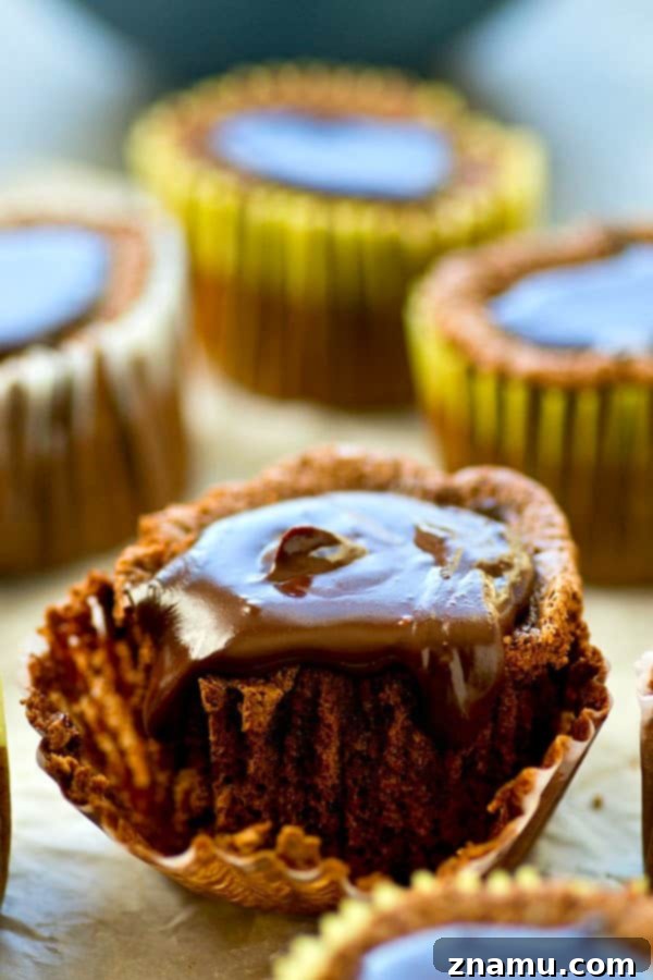 Decadent Flourless Chocolate Fudge Cupcakes 4 Several flourless chocolate cupcakes displayed on a cooling rack, highlighting their perfect, rounded tops.